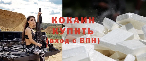 кокс Богородицк