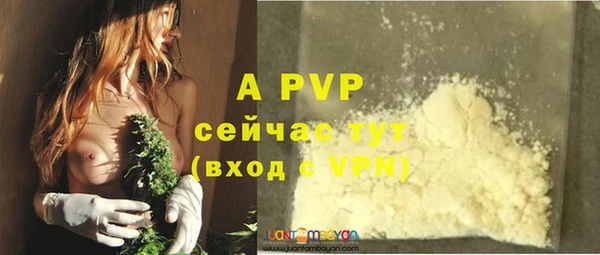 apvp Богданович