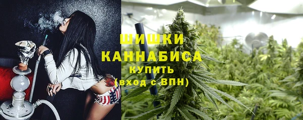 apvp Богданович