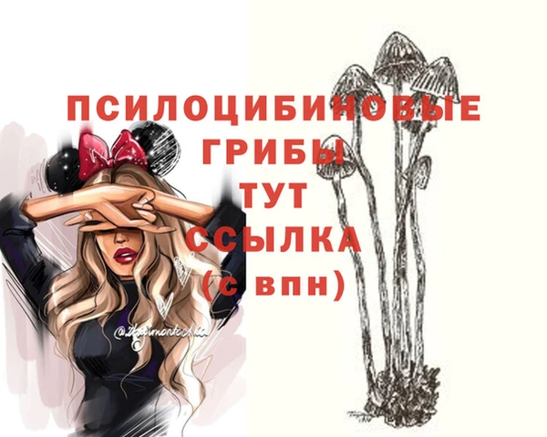 ALPHA-PVP Богородск
