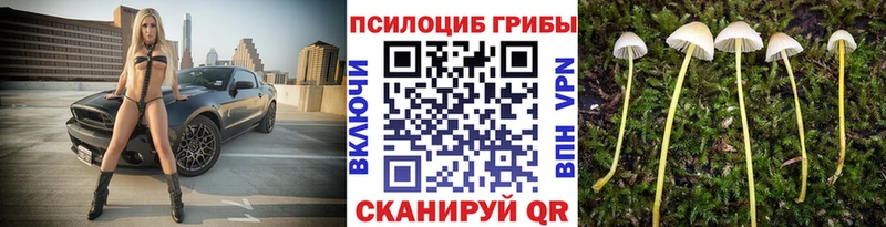 Псилоцибиновые грибы Psilocybe  дарнет шоп  Нижний Новгород 